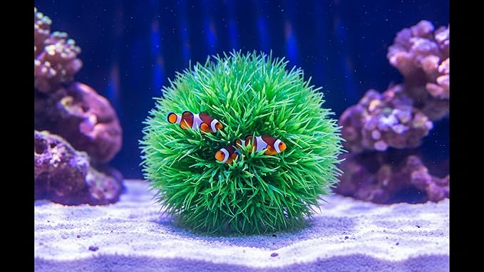 Aquarium Decor Set – Fish Tank Decorations & Accessories with Artificial Aquarium Plants, Shells, Coral Reef Decor, Betta Fish Tank Accessories & Ornaments for Small or Large Fish Tanks