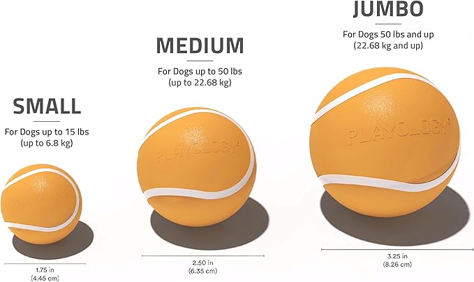 Playology Dog Toys | Squeaky Chew Ball for Dogs| Cheddar Cheese Scented Medium Dog Ball | Bouncy Floating Dog Balls