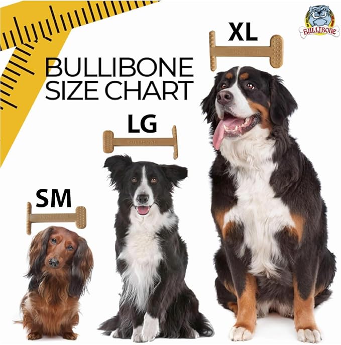 Bullibone Nylon Dog Chew Toy for Aggressive Chewers - Dental Hygiene Bone with Peanut Butter Flavor, Durable Tough Chew Toys for Small Dogs, Indestructible Dog Bone - Single