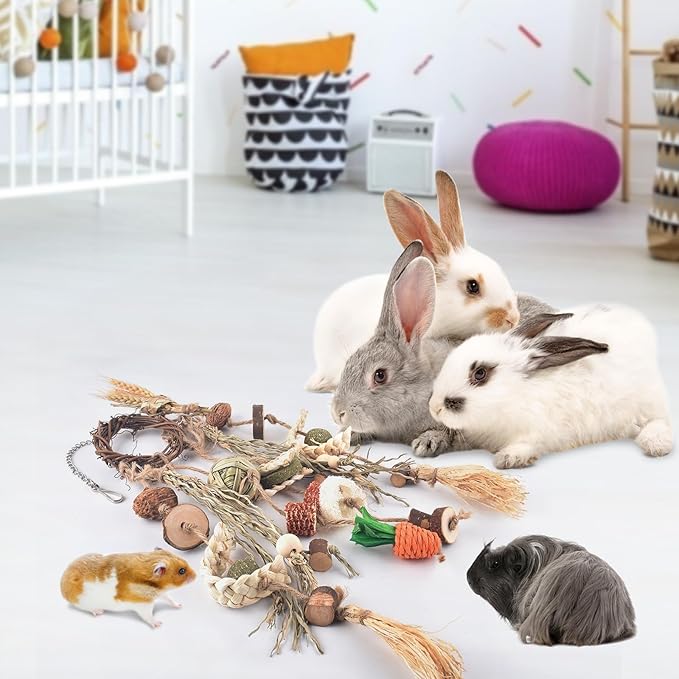 Bissap Bunny Chew Toy, Rabbit Cage Hanging Chewing Toy Treat Christmas Grapevine Wreaths Rattan Ring with Snack Water Grass for Guinea Pig Chinchilla Hamster Rat and Other Small Pet Teeth Grinding