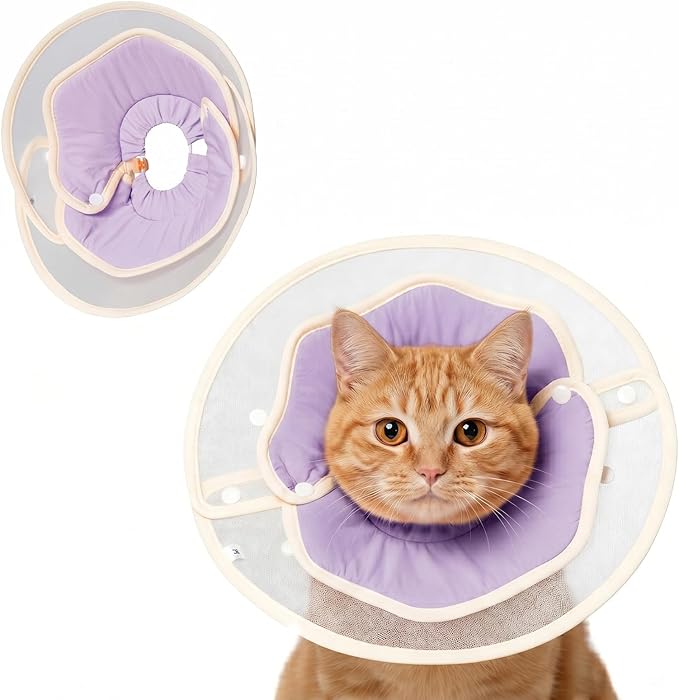 Cute Flower - Shaped Cat Cone for Kittens & Cats (Purple, S)