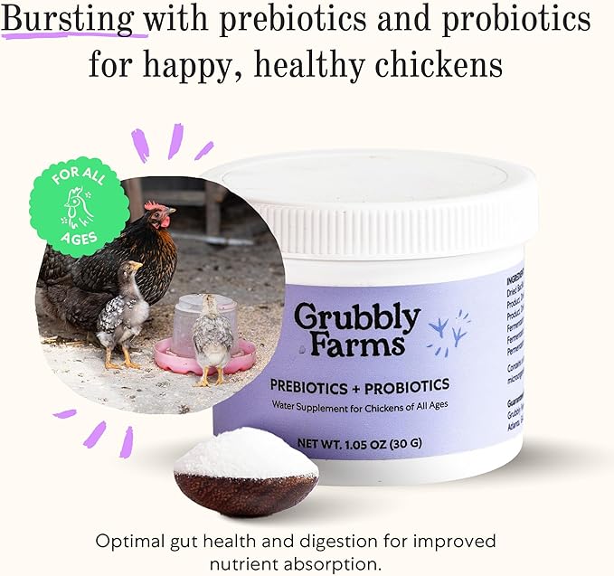 Grubbly Farms Supplements Bundle - Layer Calcium, Probiotics+Prebiotics, Vitamins+Electrolytes & Omega Mix - Complete Nutrition Support, Strong Eggshells & Digestive Wellness for Laying Hens