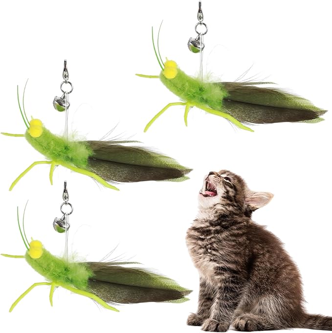 Ptwola Cat Feather Toys Refills 3 Pack Insects Grasshopper Cat Toy Wand Fun Replacement Feathers Small Cats Interactive Toys Hanging Toy Attachments for Indoor Kittens Cats Teaser Wand Accessory