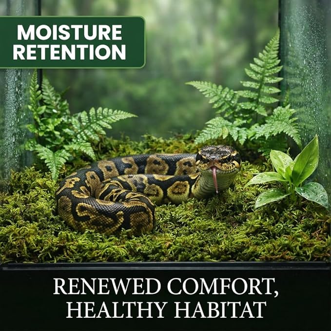 Sukh Sphagnum Moss for Reptiles -Terrarium Moss for Reptiles Peat Moss for Reptiles Habitat Bedding Moss for Snakes Turtle Frog Gecko and Other Reptiles Substrate (6.3, Ounces)