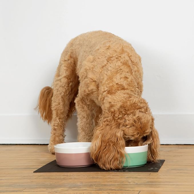 Waggo Dipper Ceramic Dog Bowl for Small and Large Breeds - Heavyweight and Durable Pet Food and Water Dish Crock, Dishwasher Safe, Modern (Buttercream, Medium)
