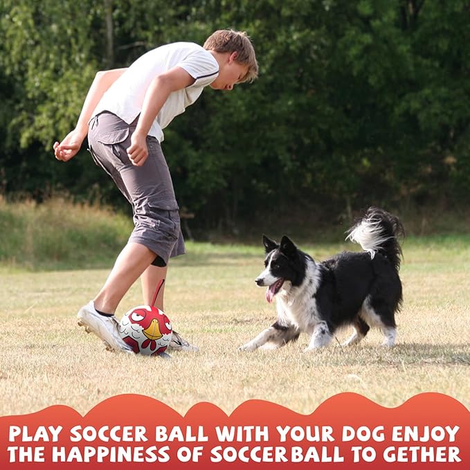 QDAN Chicken Dog Toys Soccer Ball with Straps, Interactive Dog Toys for Tug of War, Puppy Birthday Gifts, Tug Toy, Dogs Water Toy, Durable Dogs Balls for Dog（8 Inch）
