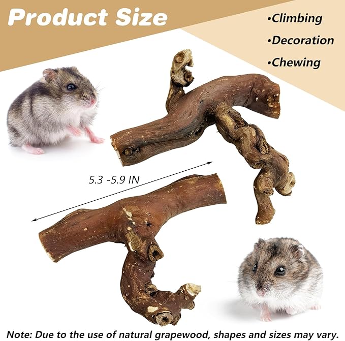PINVNBY 2 PCS Wooden Hamster Climbing Branches 5.9 in Natural Grapevine Syrian Hamster Chewing Toys Small Animal Habitat Decor Accessories for Gerbils Mice Rat and Dwarf Pets