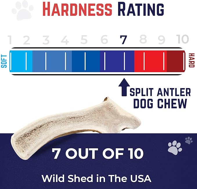 Devil Dog Pet Co. Split Elk Antlers for Dogs, Natural Dog Chew with Exposed Marrow - Long Lasting and Odor Free - USA Sourced - Cleaner Teeth, Anxiety & Boredom Relief - Jumbo 8"+ - Antler Bone