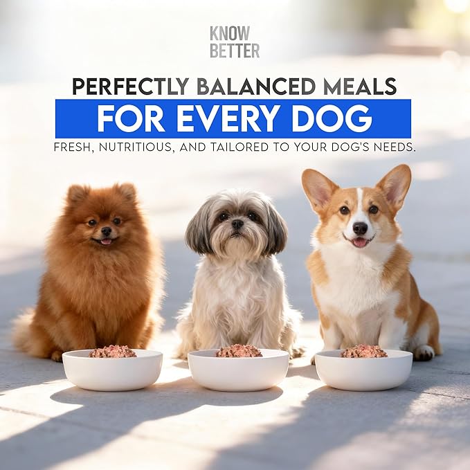 Know Better Beef Recipe Homemade Dog Food Premix - Complete Raw or Homemade Dog Meal Mix for Small Dogs - Puppies & Adults - Easy-to-Prepare Balanced Nutrition - Pet Supplies - 4.8 Oz