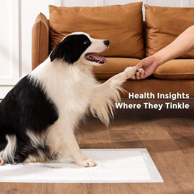 ZOMISIA Health Monitoring Puppy Pee Pad with Color Indicators, 22"x22" 5 Counts - 6-Parameter Urine Test, Disposable Dog Potty Training Pads , Odor-Control, Super Absorbent & Leak-Proof