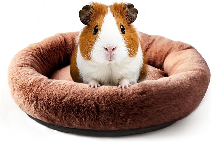FEBSNOW Guinea Pig Beds, Hamster Bed Hedgehog Bed for Hamster Hedgehog Squirrel Tortoise Lizard and Other Small Animal