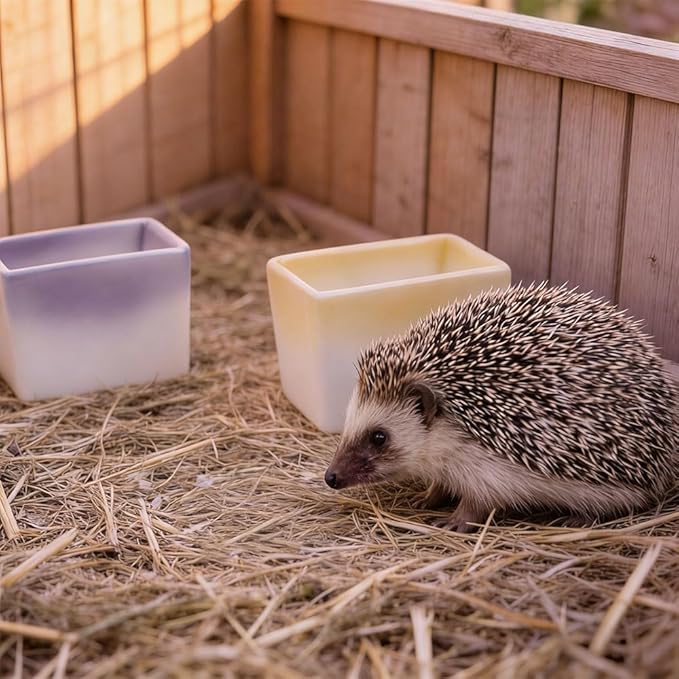 2 Pack Small Pet Ceramic Food Bowl and Water Dish Anti-Turning Cute Feeder for Hamster Guinea Pig Hedgehog Squirrel Rat (Purple and Yellow