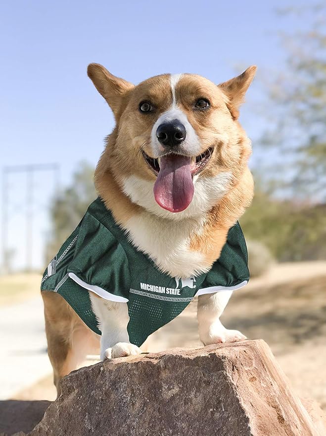 Pets First NCAA College Michigan State Spartans Mesh Jersey for DOGS & CATS, X-Large. Licensed Dog Jersey with your Favorite Football/Basketball College Team