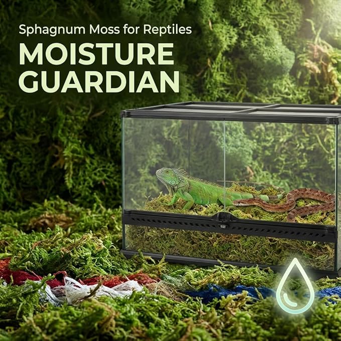 Sukh Sphagnum Moss for Reptiles -Terrarium Moss for Reptiles Peat Moss for Reptiles Habitat Bedding Moss for Snakes Turtle Frog Gecko and Other Reptiles Substrate (11.2, Ounces)