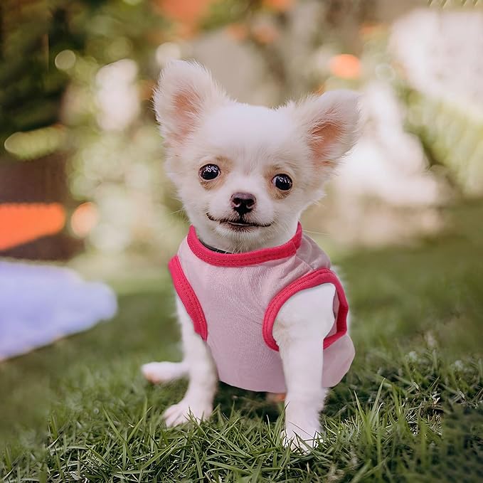 4 Pack Dog Shirts for Small Dogs Spring Summer Printed Puppy Clothes Cute Pet T Shirts Dog Clothes for Small Dogs Cats Girl (Grey+Pink+Purple,Black, XXS)