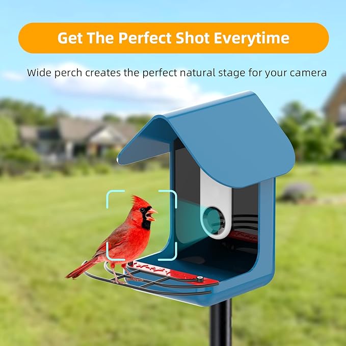 Metal Perch Extender Designed for Bird Buddy Pro1 Smart Feeder - Add On Accessory with Screws, Fan-Shaped Design More Room for Visiting Birds to Land, Powder-Coated, Black