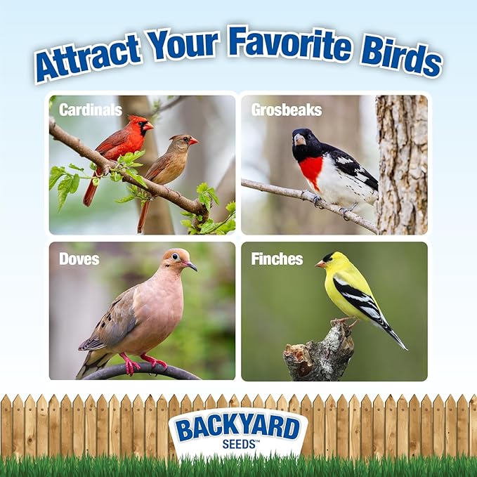 Backyard Seeds Berries 'N Fruit Bird Seed Mix 5lbs - Premium Blend with Dried Fruit & Berries, Large Bag of Wild Bird Food