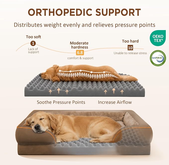 Comfort Expression Orthopedic Dog Bed for Extra Large Dogs with Bolster | Waterproof Dog Couch Bed with Washable Cover & Non-Slip Bottom, Supportive Egg Crate Foam XL Pet Bed, 42x30 Inch
