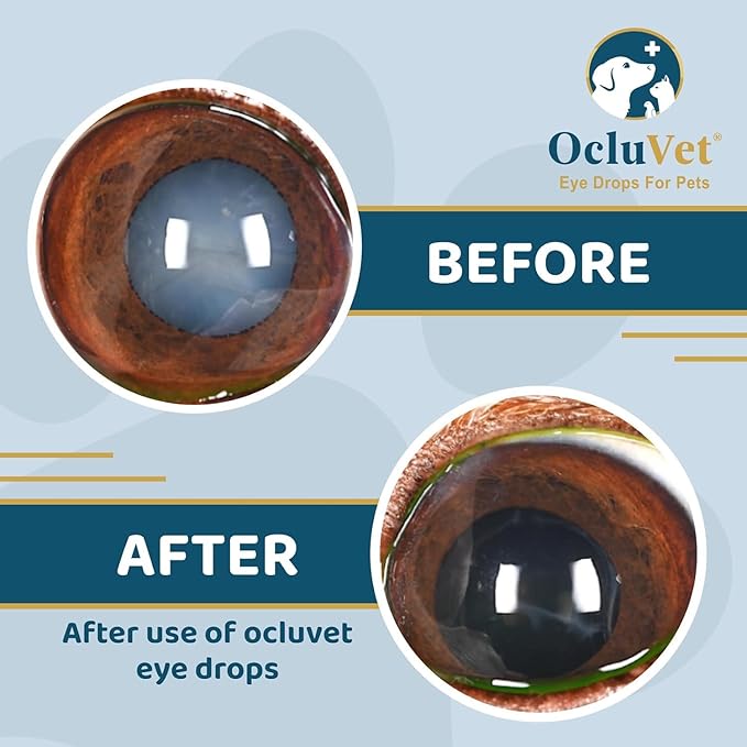 OcluVet Eye Drops for Pets | Clinically Studied Antioxidants for Pets | Made in the USA | Includes 2% N-Acetyl-L-Carnosine (NAC) | 16mL