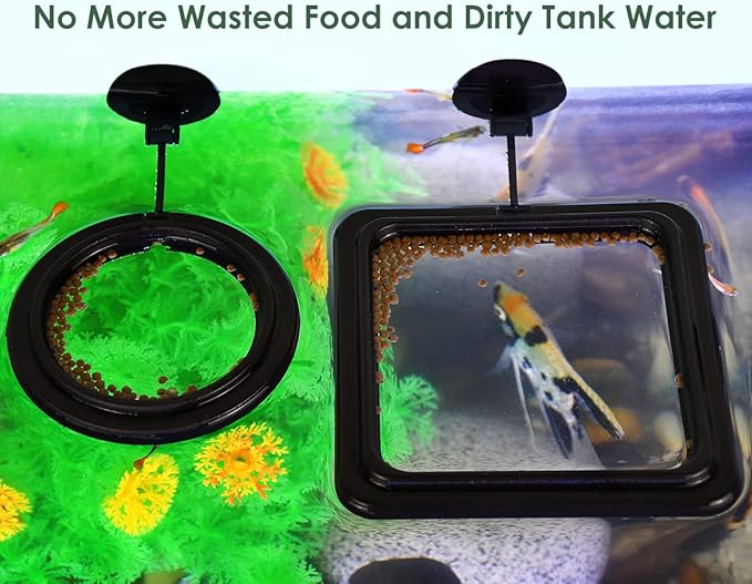 DS. DISTINCTIVE STYLE Fish Feeding Ring 2 Pieces Aquarium and Tank Floating Rings Food Feeders with Suction Cup(Black)