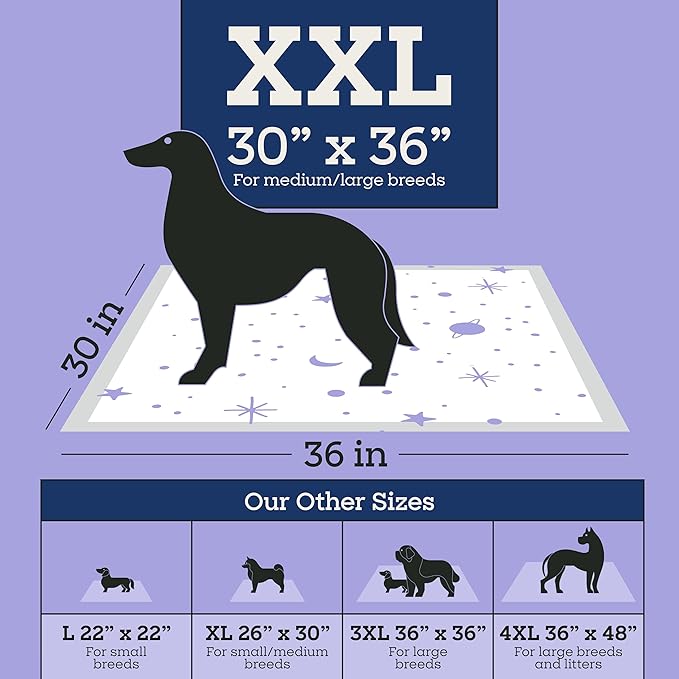 Pet Life Unlimited Overnight XXL Puppy Pads for Dogs, Potty Training Pee Pads, 30 Count, 30" x 36", Leak-Proof, Super Absorbent, Quick-Dry Overnight Protection, Made in USA