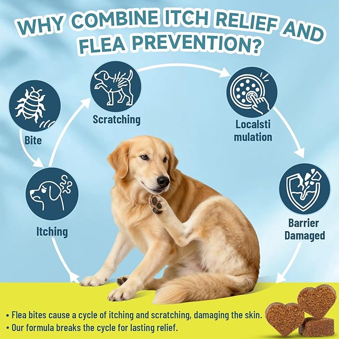 Flea and Tick Prevention for Dogs Itching Skin Relief, 200 Chewable Flea and Tick for Dog with Skin & Coat Support, Itch Relief for Dogs, Oral Supplement for All Breeds & Ages, Chicken Flavor