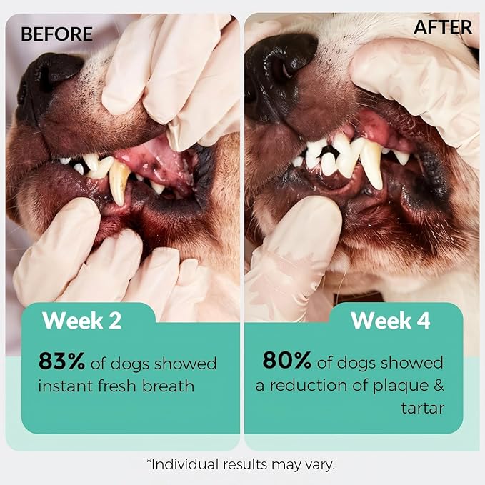 ZEBORA Dog Teeth Cleaning Powder - Dog Breath Freshener Dental Powder, Targets Bad Breath, Plaque Off & Tartar Remover, Natural Dental Care for Healthy Gums, 180g