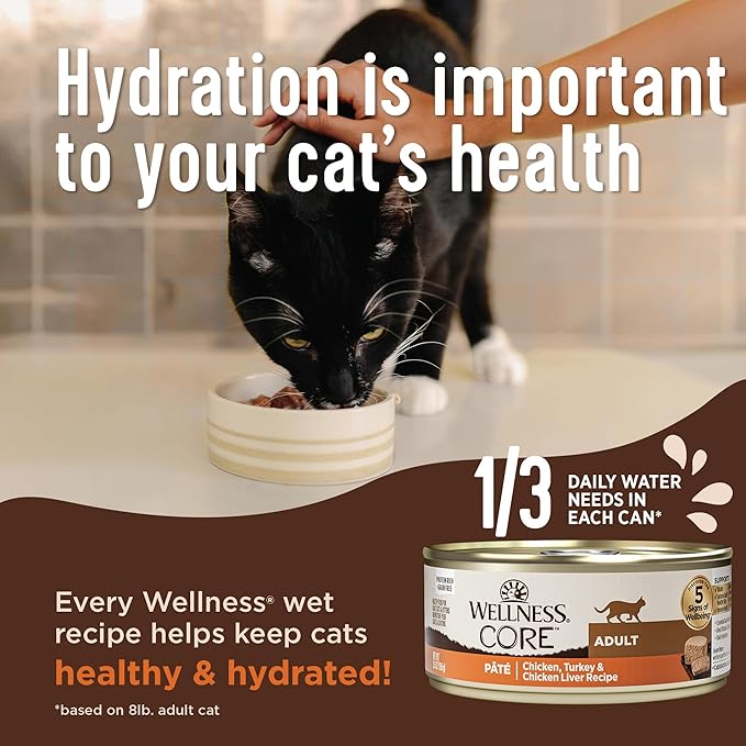 Wellness CORE Pate Kitten Canned Wet Cat Food, Natural, Protein Rich, Grain Free, Turkey and Chicken Liver Recipe, 5.5 oz, Pack of 12 Cans
