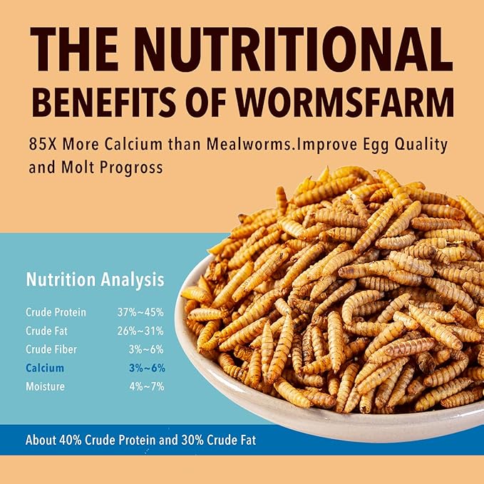 WormsFarm 5LB Dried Black Soldier Fly Larvae Treat for Chicken More Calcium Than Mealworms,for Laying Hen,Wild Birds (5 Pound)