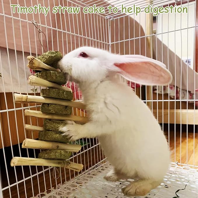 kathson 2 PCS Bunny Chew Toys for Teeth Natural Rabbit Toys Hanging Sweet Bamboo Chews with Grass Cake Guinea Pig Toys Snack Treat for Hamster Chinchilla Rats