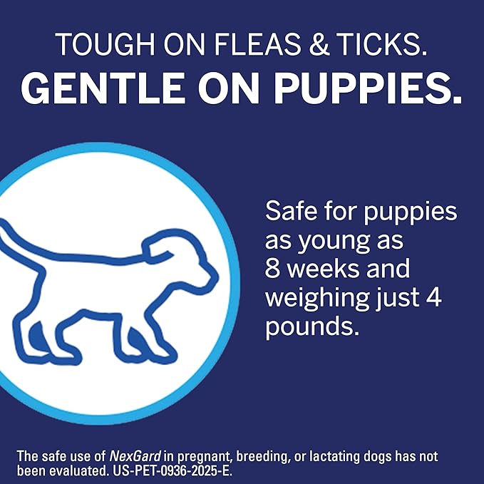 NexGard® (afoxolaner) Flea and Tick Protection for Dogs Oral Soft Beef Flavored Chewables, 24.1 to 60 lbs. (Purple Box) 1 Chew (1 Month Supply)