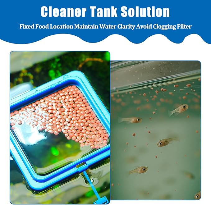 2PCS Small Fish Feeding Ring, Square and Round Mini Aquarium Feeder with Strong Suction Cup Floating Fish Feeder Ring for Betta Goldfish Guppy (Blue)