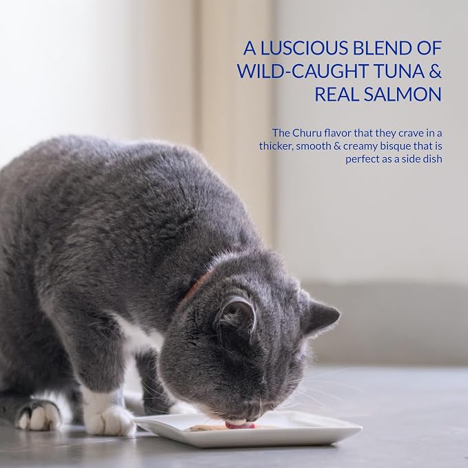 INABA Churu Bisque for Cats Senior 10+, Creamy Purée Side Dish Pouch, 1.4 Ounces per Pouch, 12 Pouches Total, Tuna with Salmon Recipe