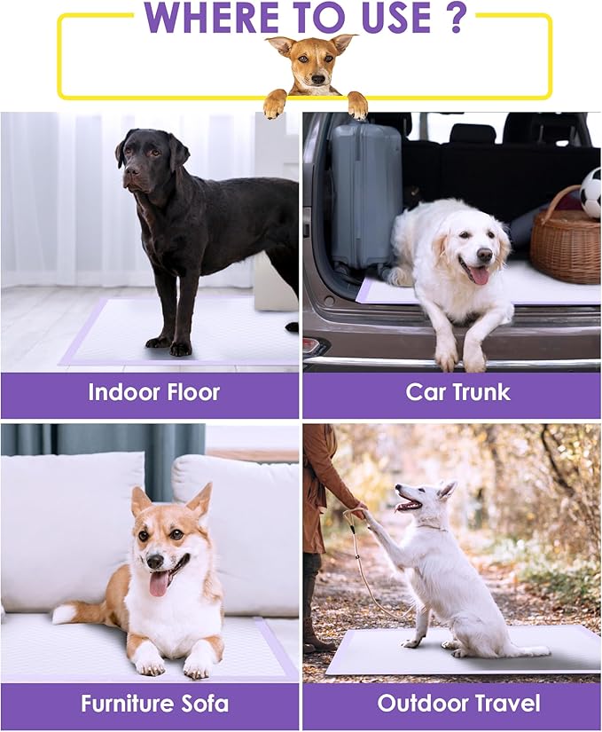 JollyMate Extra Large Dog Pee Pads 36"x36", 100 Counts Leak-Proof Heavy Absorbent Pee Pads for Dogs, Quick Dry Disposable Dog Training Pads