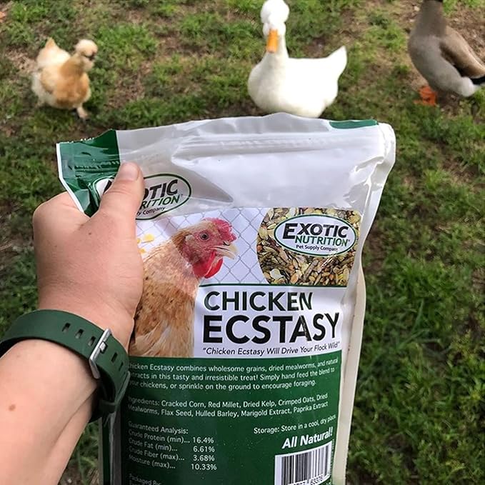 Exotic Nutrition Chicken Ecstasy (3 lb) - Healthy All-Natural Backyard Chicken Feed - Grains, Dried Mealworms & Natural Extracts - Promotes Healthy Chickens & Eggs