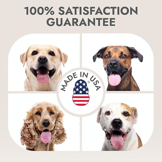 Kong Oatmeal Dog Conditioner – Soothes, Moisturizes & Relieves Itchy Skin, Oatmeal & Honey Scent, 18 oz - Plant-Based, pH-Balanced, Sulfate-Free, All Coat Types, for Sensitive Skin, Made in USA