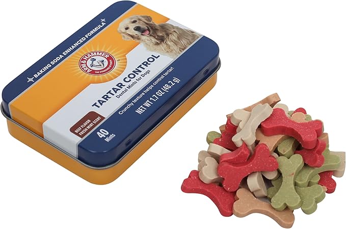 Arm & Hammer for Pets Tartar Control Dental Mints for Dogs, Reduces Plaque & Tartar Buildup Without Brushing, Freshens Dog Breath, Beef Flavor, Fresh Mint Scent, 40 Count, Medium Breeds - 2 Pack