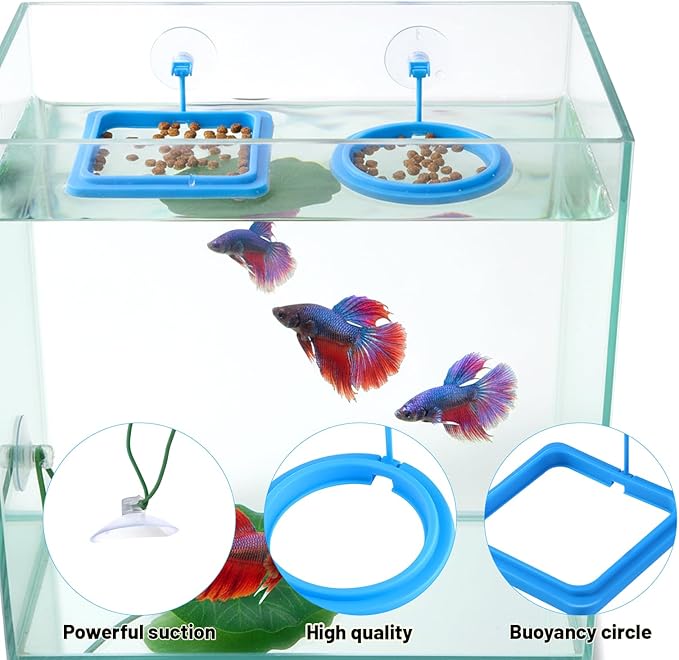 2Pcs Fish Feeding Ring, 2 Feeding Ring for Tank with 1pcs Betta Fish Live Plant, Betta Feeder for Aquarium Decor, Goldfish Tank Accessories