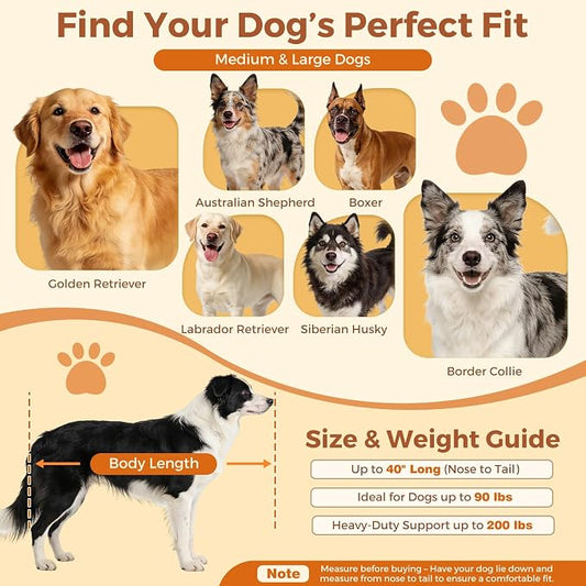 Dog Couch Sofa for Large & Extra Large Dogs, Elevated Pet Bed with Legs, Button Tufted Chenille Dog Couch with Backrest and Armrests, Modern Indoor Dog Furniture (Dark Gray, XL - 47" x 24" x 15")