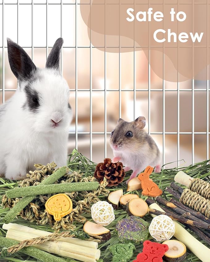 Bissap Rabbit Chew Toy, Natural Bunny Treats Snacks with Timothy Hay Water Grass Mat Chewing Bamboo Apple Sticks Box for Guinea Pigs Chinchillas Hamsters Gerbils and Other Small Pets Teeth Grinding