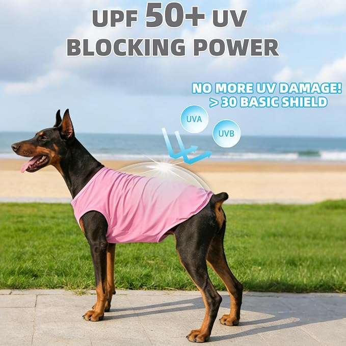 KOOLTAIL Cooling Sunblock Dog Clothes for Medium Dogs, 2 Pack UPF50+ UV & Insect Protection Quick Dry Dog T Shirts for Outdoor, Anti-Hair Loss Breathable Sleeveless Pet Vest Tank Tops, Pink&Purple, M