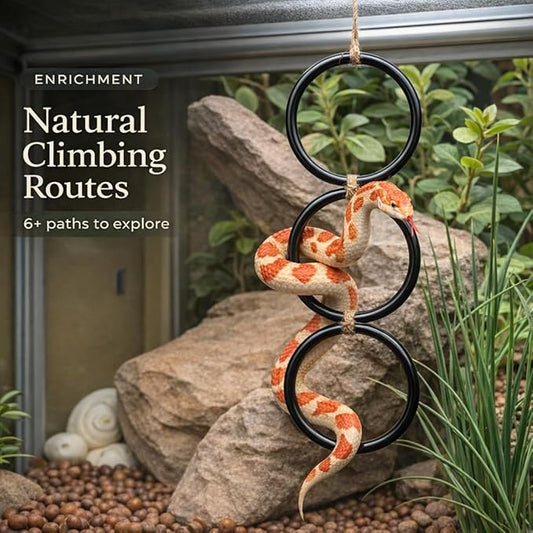 2PCS Snake Climbing Rings for Ball Python - Enrichment Toys for Corn Snake - Reptiletank Cage Decor Habitat Accessories | Terrarium, Bearded Dragon, Chameleon, Iguana, Gecko, Lizard, Parrot