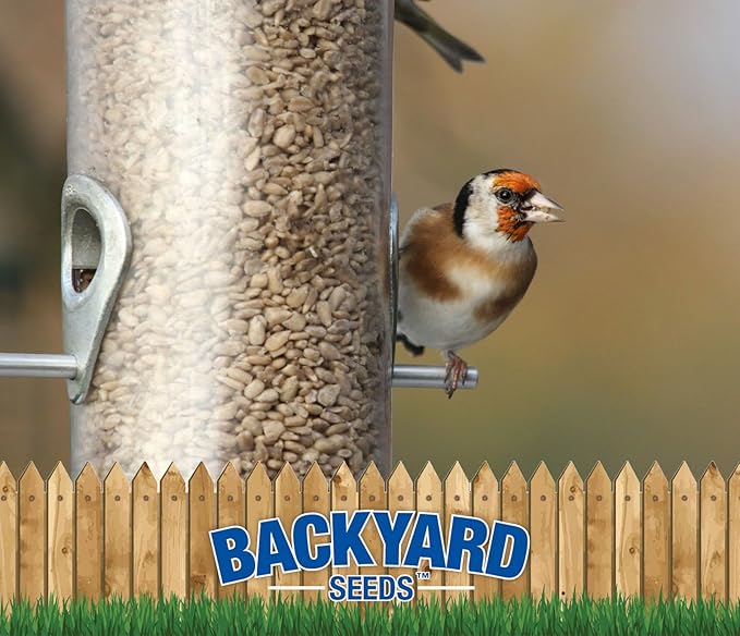 CountryMax Thistle Seed for Finches – Premium Wild Bird Food for Goldfinches, Siskins & Small Songbirds, High-Energy, No-Filler, Cleaned Seed