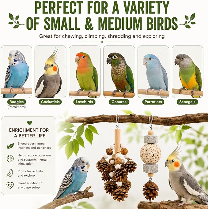 2 Pack Natural Bird Toys for Parakeets & Cockatiels, Pinecone Chew Swing and Sola Ball Hanging Toy, Shredding & Foraging Cage Accessories for Budgies, Conures, Lovebirds