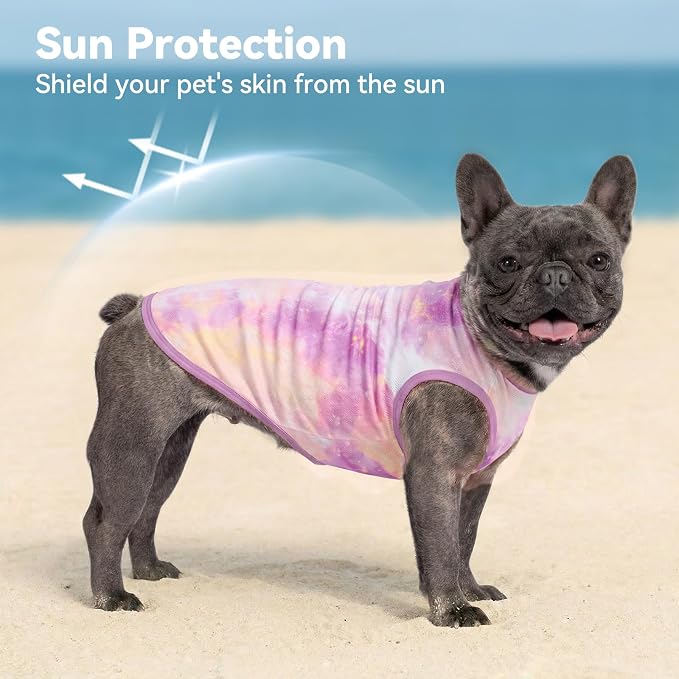 cyeollo 2pack Dog Shirt Cooling Breathable Sleeveless Summer Clothes for Dogs, Intant Cool T Shirts for Small Dogs, Purple M