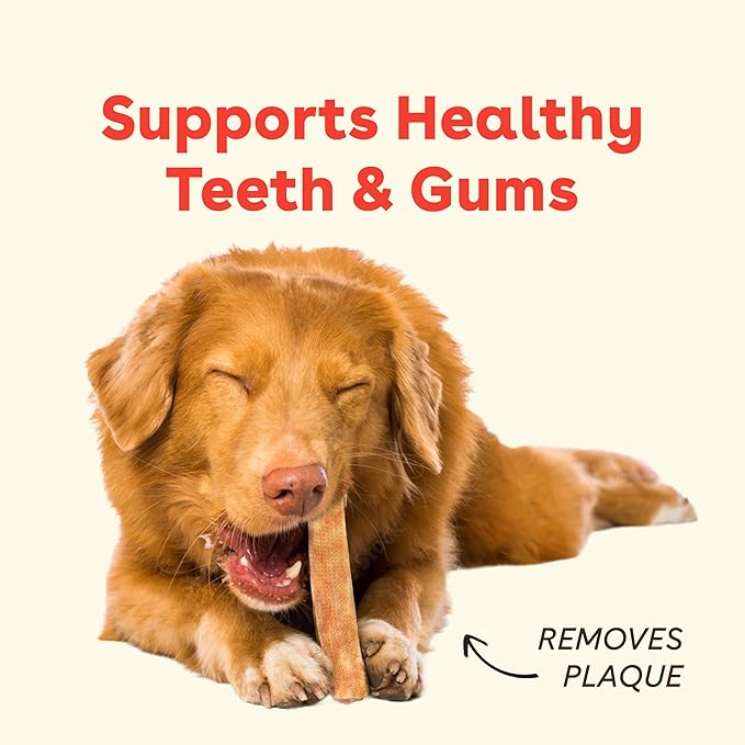Pupford Yak Cheese Chews for Dogs & Teething Puppies, Natural, Long-Lasting Himalayan Dental Treats (3 Pack Jumbo)