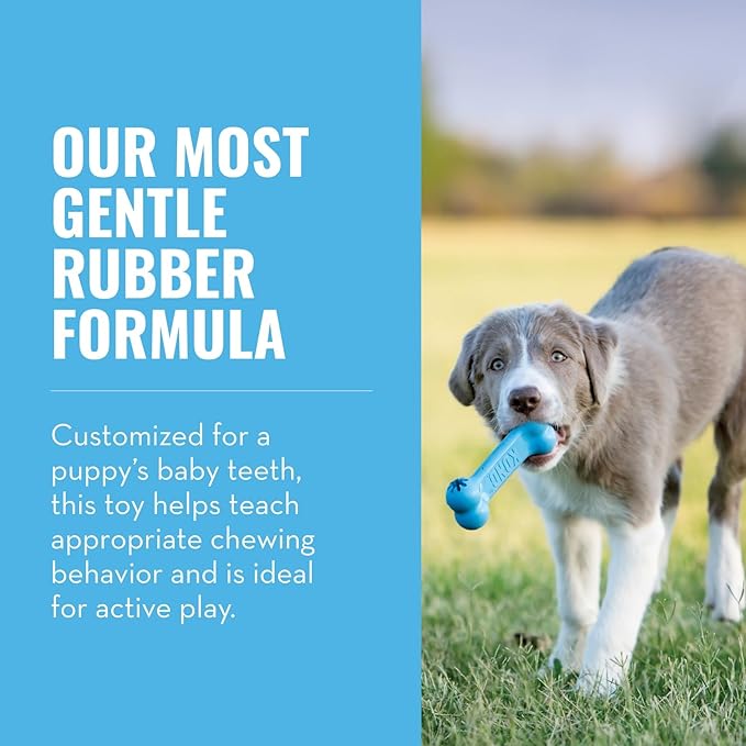 KONG Puppy Goodie Bone - Stuffable Toy for Small Puppy - Natural Rubber Chew for Puppies - Toy for Teething - for Small Puppies - Blue