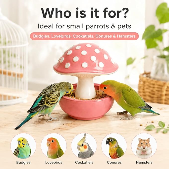 Ceramic Mushroom Bird Feeder No Mess, Spill Proof Bird Food and Water Bowl for Cage, Covered Dispenser for Parakeet, Budgie, Cockatiel, Lovebird, Hamster Accessories, 4.3" Tall