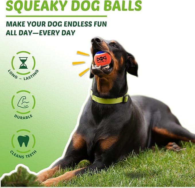 INSUM Squeaky Balls for Dogs, Squeaky Dog Toys Balls for Fetch, Funny Puppy Chew Toys, Built-in Squeaker, Idea for Doggie Birthday Gift, Large - 4 Pack