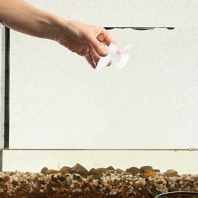 5pcs Plastic Shrimp Feeder Tube with Suction Cup Mini Aquarium Feeder for Fish Tank Automatic Feeding Small Shrimp Hatchery Accessories
